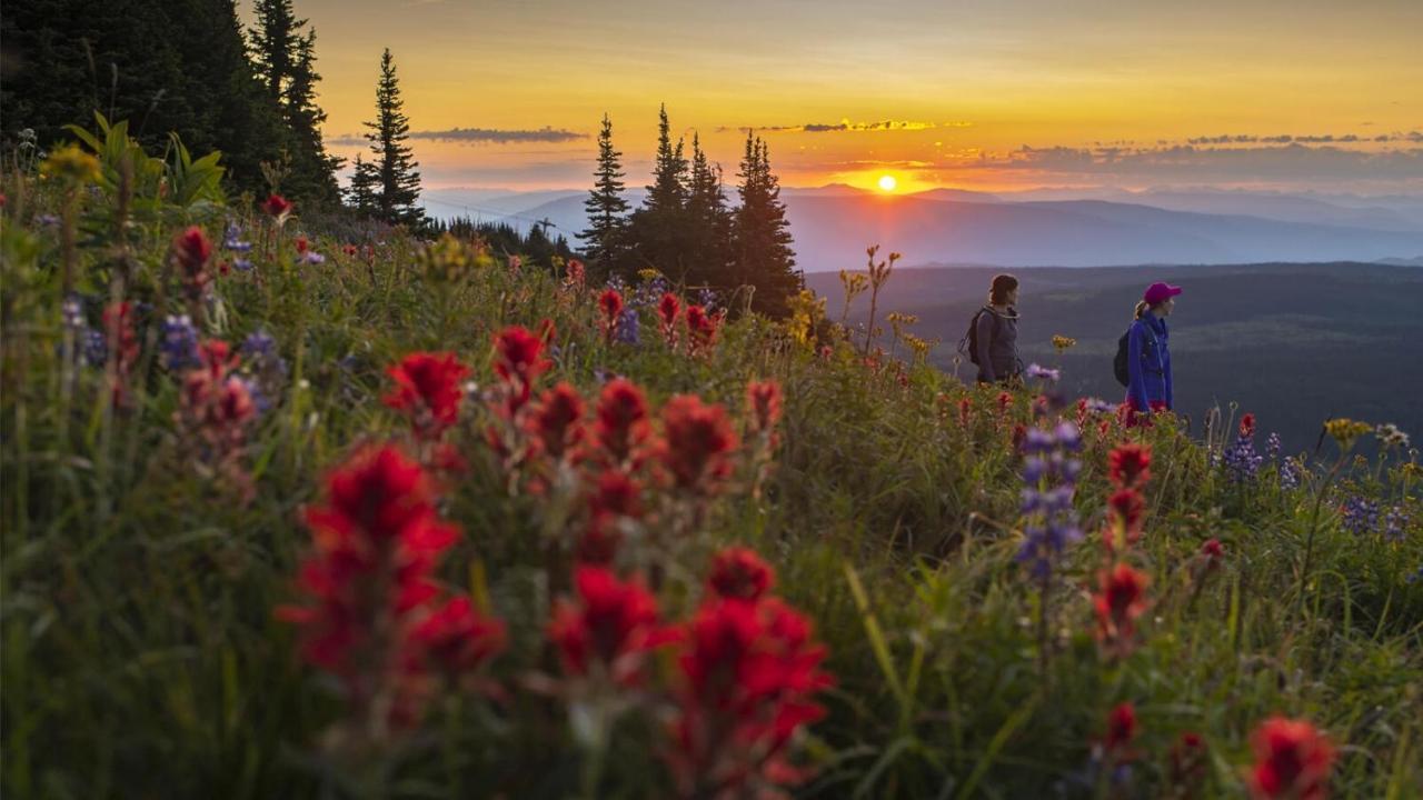 Soleil Chalet By Bear Country Sun Peaks Dış mekan fotoğraf