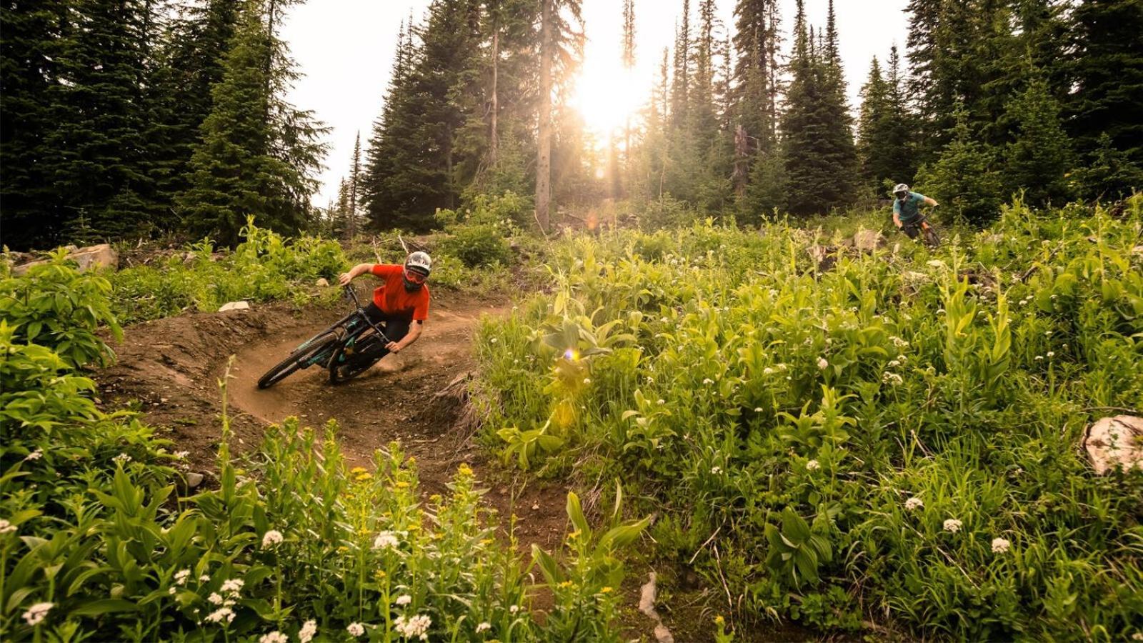 Soleil Chalet By Bear Country Sun Peaks Oda fotoğraf
