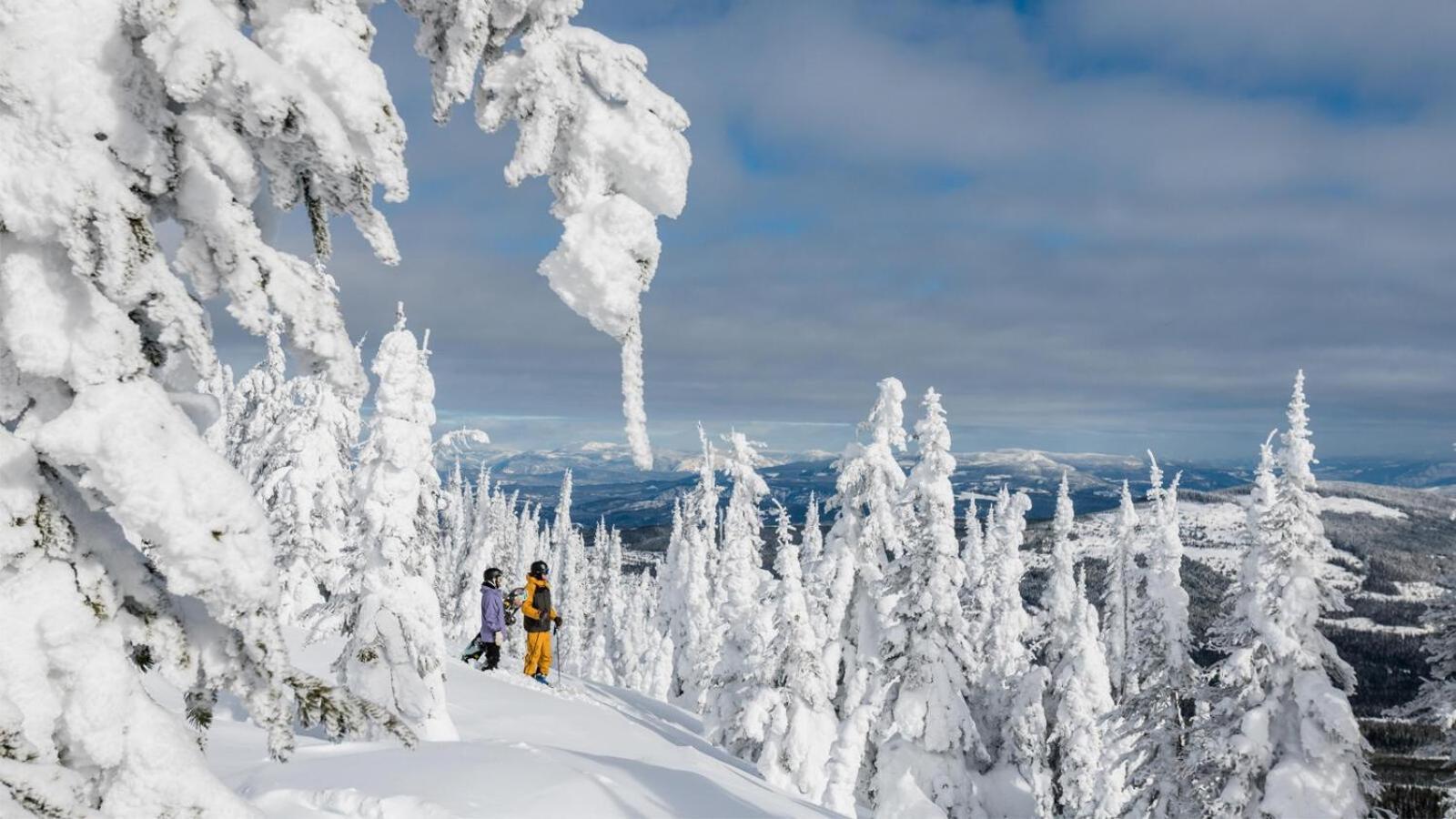 Soleil Chalet By Bear Country Sun Peaks Oda fotoğraf
